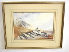 •AR Berrisford Hill (20th Century), Morning Scene - Ptarmigan, watercolour, signed lower right, 25 x
