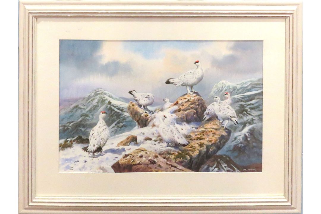 Carl Donner (born 1957) "Ptarmigan on the High Tops", watercolour, signed lower right, 37 x 56cm