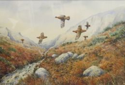 Simon Trinder (born 1958), Grouse in flight over moorland, watercolour, signed lower left, 25 x