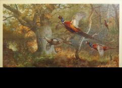 Archibald Thorburn (1860-1935), Bird studies, set of four coloured artists proofs, all signed in