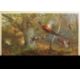 Archibald Thorburn (1860-1935), Bird studies, set of four coloured artists proofs, all signed in - Image 1 of 3