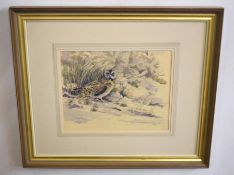 •AR Frederick J Watson (20th Century), Little Owl in Landscape, watercolour, signed and dated 1985