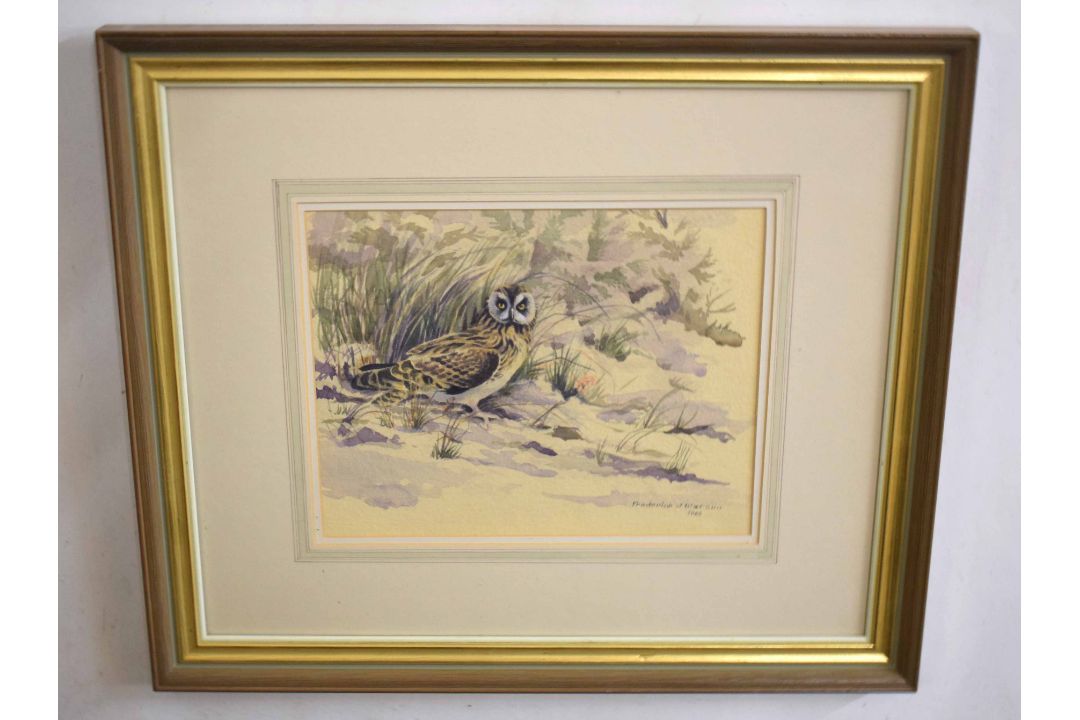 •AR Frederick J Watson (20th Century), Little Owl in Landscape, watercolour, signed and dated 1985 - Image 1 of 2