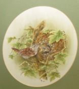 P H M (20th century), Bird studies, two watercolours, both initialled and dated 1986/1989, 30 x 22cm