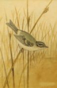 Roland Green (1896-1972), Bird on a reed, 19 x 13cm