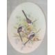 P H M (20th century), Bird studies, two watercolours, both initialled and dated 1986/1989, 30 x 22cm - Image 2 of 2