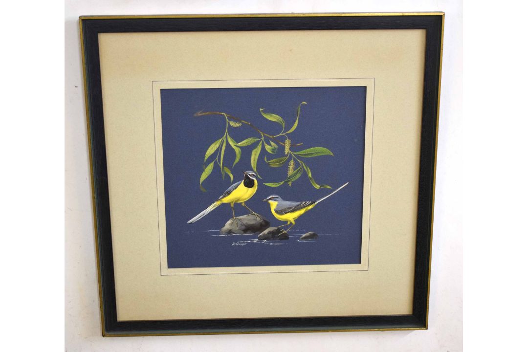 •AR Vic Grainger (20th Century), Study of Grey Wagtails, watercolour, signed lower left, 31 x