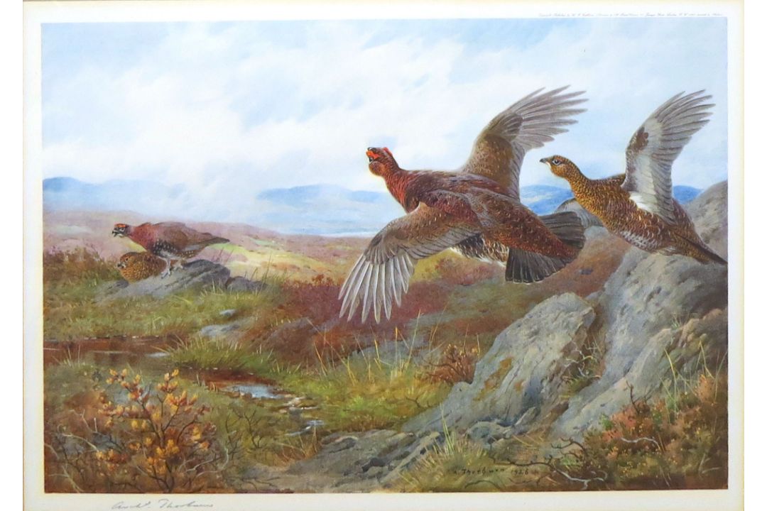 Archibald Thorburn (1860-1935), Bird studies, set of four coloured artists proofs, all signed in - Image 3 of 3