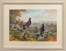 Carl Donner (born 1957), 