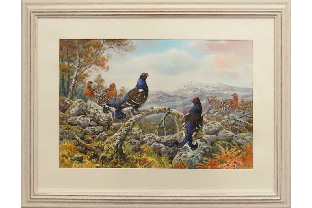 Carl Donner (born 1957), "Black game on a stone wall", watercolour, signed lower right, 37 x 56cm