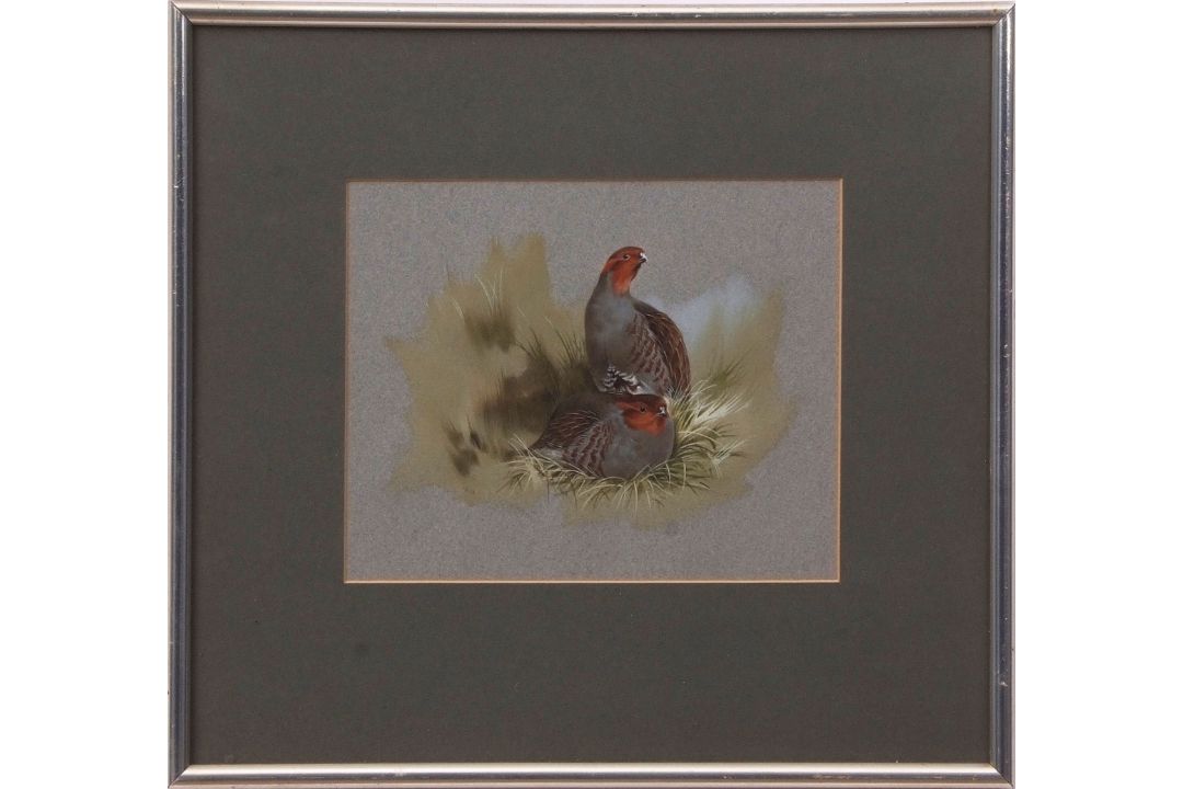 AR Brian Reed (born 1934), English Partridge, watercolour, signed lower left, 16 x 20cms - Image 2 of 2
