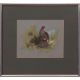 AR Brian Reed (born 1934), English Partridge, watercolour, signed lower left, 16 x 20cms - Image 2 of 2