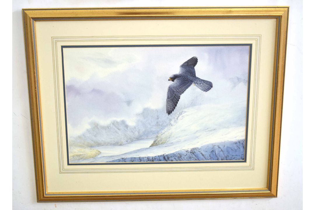 •AR Owen Williams (20th Century), Peregrine in Flight over Snowy Mountains, watercolour, signed