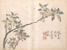 Chinese school 19th Century pen and ink on paper, depicting Osmanthus blossoms, inscribed 
