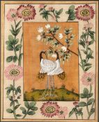 Watercolour of two whooping cranes Indian, 19th Century with a variety of different flowers, 47cm