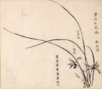 Chinese school 19th Century monochrome study, depicting lilies, with inscriptions to the page
