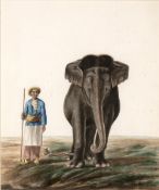 Company school painting Indian, 19th Century watercolour on paper, depicting a Mahout with his