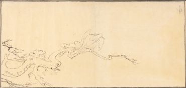 Pen and ink sketch Japanese, 20th Century bird perched on a branch, unsigned, 16.5cm x 37cm