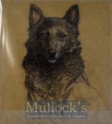 Clifford Ambler 1886 – 1965 - Dog artist original pastel drawing 35 x 33cm mounted