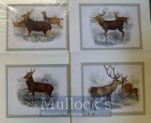 Hand Coloured Lithographs - From Philip 