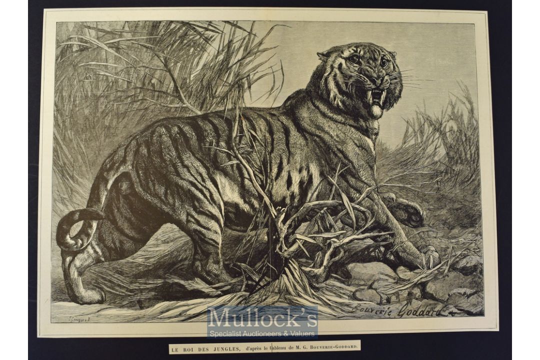 India - Le Roi Des Jungles (King of the Jungle) original engraving after painting by Bouverie