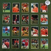 British Lions Rugby Cards: 20 colour action picture cards of famous British Lions of a variety of