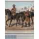 India - Original colour lithograph of the 1st Bengal cavalry review order c1900s by R Simkin. In - Image 2 of 2