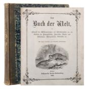 Das Buch der Welt ein Inbegriff des Wissenwürdigsten und Unterhaltendsten aus den Gebieten der