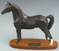 Beswick Morgan Horse 'Tarryall Maestro' from the Connoisseur Collection, H29cm