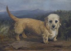 Late 19thC oil on canvas 'Ainsty Hero' Dandie Dinmont Terrier dog, titled, indistinctly signed and