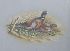 Graham Austin watercolour and gouache study of a pair of pheasants, signed and dated 1977 lower