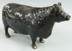 Beswick Aberdeen Angus cow for the Aberdeen Angus Society