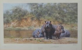 David Shepherd, signed limited edition (659/850) print 'Hot-Potami', 30 x 44cm, framed and glazed