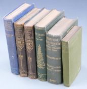 Wild Flowers Month by Month in Their Natural Haunts by Edward Step, 2 volumes 1905 fully illustrated