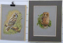 Graham Austin two watercolour and gouache studies of owls, both signed one dated 1977, each 45 x