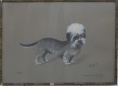S. Ripley, watercolour / gouache on paper 'Rajah, Coneygreave-Maharajah' Dandie Dinmont Terrier dog,