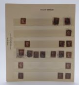 Great Britain 1841 1d red brown 19 examples cancelled by Maltese cross with number in centre