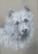 Maud West Watson (1864-1943), pastel drawing 'A faithful Scot' terrier dog, signed lower right, 35 x