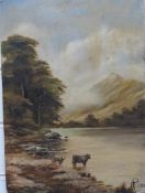 Oil on board of Highland cattle in a lochside landscape, monogrammed G.E.P 1921, 35 x 25cm