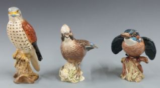 Three Beswick birds jay, peregrine falcon and kingfisher, tallest 13cm
