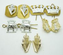 Ten British Army Queen's Own Highlanders, Ulster Defence Regiment etc anodised collar badges in five