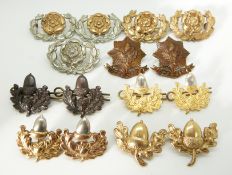 Fifteen British Army Cheshire Regiment and Hampshire Regiment metal collar badges in seven pairs