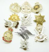Twelve Australian Forces metal and anodised hat and collar badges including Royal South Australia