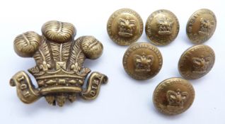 Duke of York's Royal Military School Chelsea cap badge and buttons