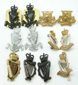 Twelve British Army Irish Rangers, Royal Irish Regiment etc metal collar badges in five pairs plus