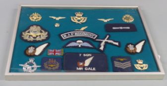 Framed display of RAF badges including 7 Sqn MR Gale