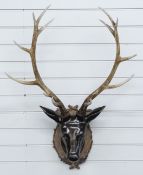 A faux deer head and antlers, probably resin, W55 x H98cm