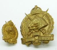 Two Australian Army 23rd Melbourne Light Horse metal hat and collar badges