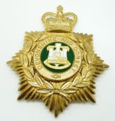 British Army Devonshire and Dorset other ranks helmet plate