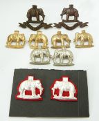 Ten British Army The Duke of Wellington's West Riding Regiment metal collar badges in five pairs